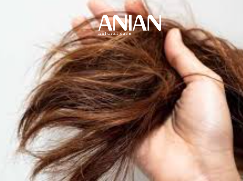 So-sanh-phuong-phap-phuc-hoi-va-hap-dau-toc