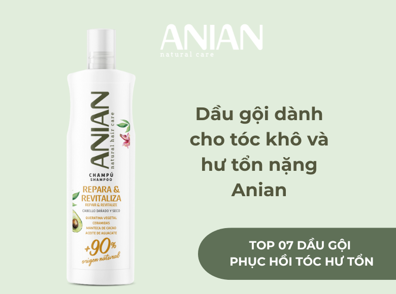 top-07-dau-goi-phuc-hoi-toc-hu-ton-nen-dung