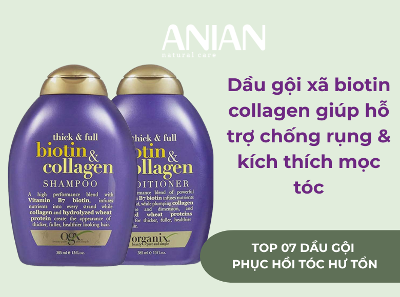 top-07-dau-goi-phuc-hoi-toc-hu-ton-nen-dung