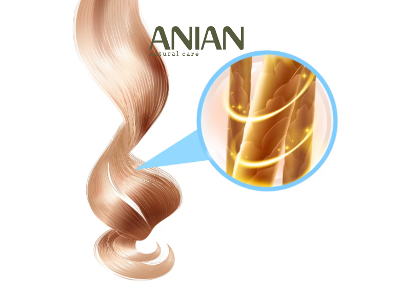 chi-bo-sung-protein-tu-thuc-pham-co-du-de-phuc-hoi-toc-hu-ton