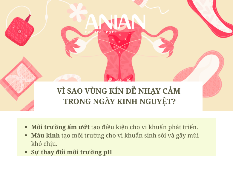 giai-dap-nhung-ngay-den-do-co-nen-dung-dung-dich-ve-sinh-khong