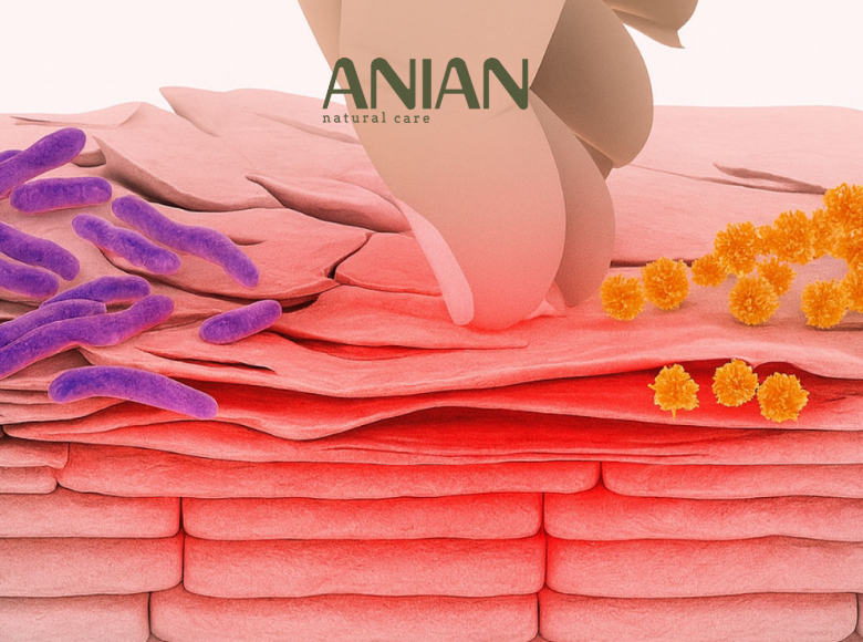 gau-keo-dai-co-nguy-hiem-khong_-5-dau-hieu-canh-bao-ban-khong-nen-bo-qua