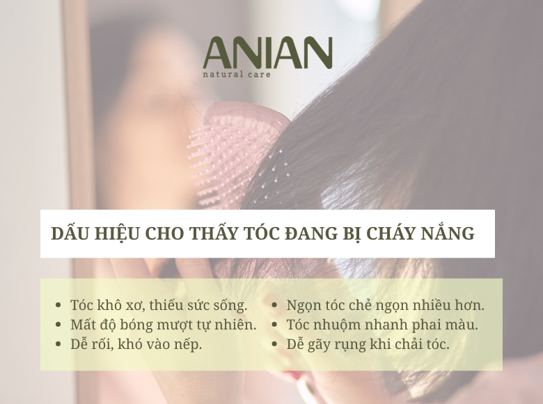 07-cach-chong-nang-cho-toc-vao-ngay-he-toc-mem-muot-va-han-che-hu-ton