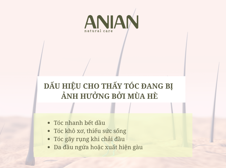 toc-rung-nhieu-vao-mua-he.-nguyen-nhan-ma-ban-khong-ngo-toi
