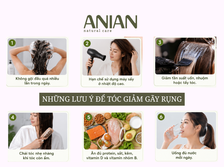 10-thanh-phan-trong-san-pham-cham-soc-toc-giup-giam-gay-rung